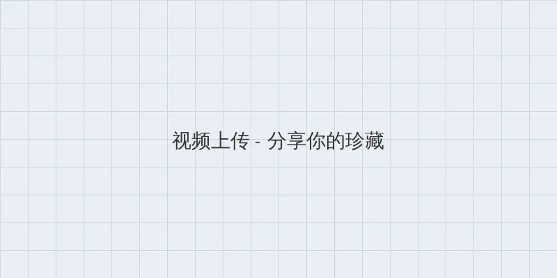 加藤莉娜 视频上传区域